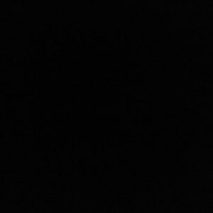 Meet your Posher, Jazmine